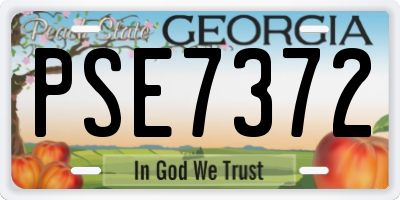 GA license plate PSE7372