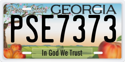 GA license plate PSE7373