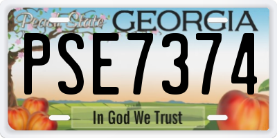 GA license plate PSE7374