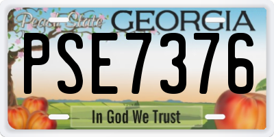 GA license plate PSE7376