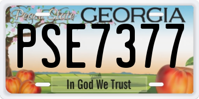 GA license plate PSE7377