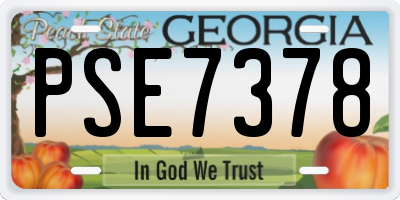 GA license plate PSE7378