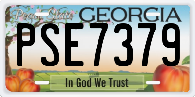 GA license plate PSE7379