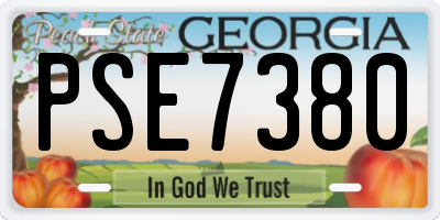 GA license plate PSE7380