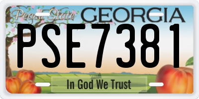 GA license plate PSE7381