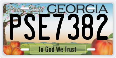 GA license plate PSE7382