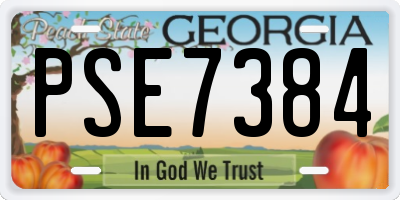 GA license plate PSE7384