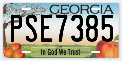 GA license plate PSE7385