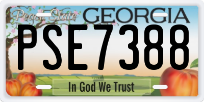GA license plate PSE7388