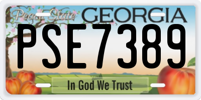 GA license plate PSE7389