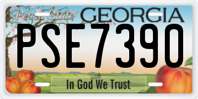 GA license plate PSE7390