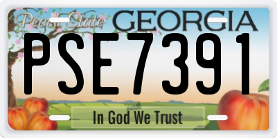 GA license plate PSE7391