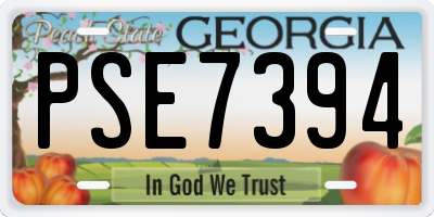 GA license plate PSE7394