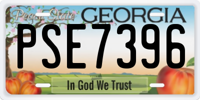 GA license plate PSE7396