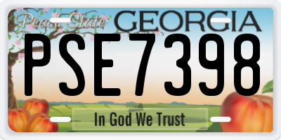 GA license plate PSE7398