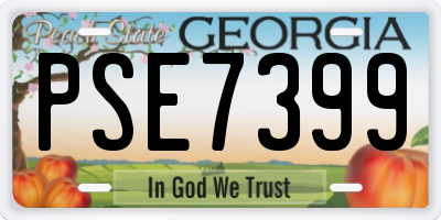 GA license plate PSE7399
