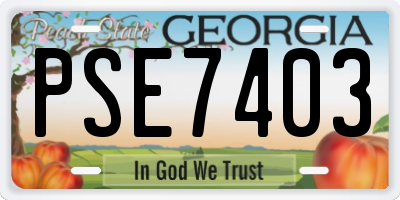 GA license plate PSE7403