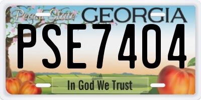 GA license plate PSE7404