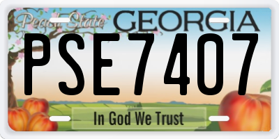 GA license plate PSE7407