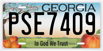 GA license plate PSE7409