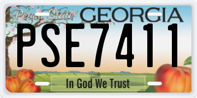 GA license plate PSE7411
