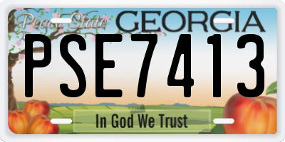 GA license plate PSE7413
