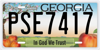 GA license plate PSE7417