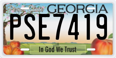 GA license plate PSE7419