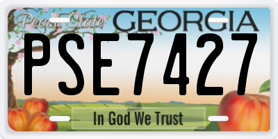 GA license plate PSE7427