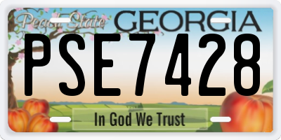 GA license plate PSE7428