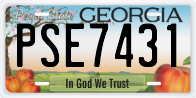 GA license plate PSE7431