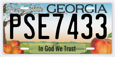 GA license plate PSE7433