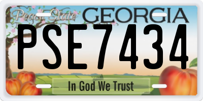 GA license plate PSE7434