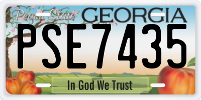 GA license plate PSE7435