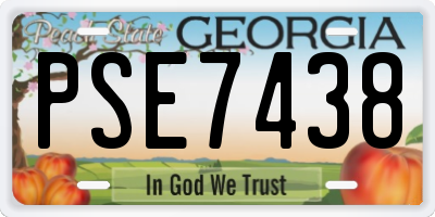 GA license plate PSE7438