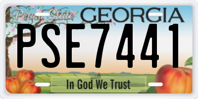 GA license plate PSE7441