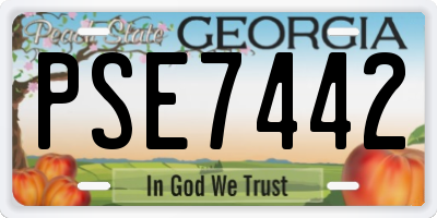 GA license plate PSE7442
