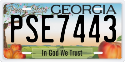 GA license plate PSE7443