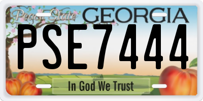 GA license plate PSE7444