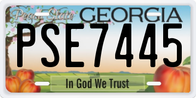 GA license plate PSE7445