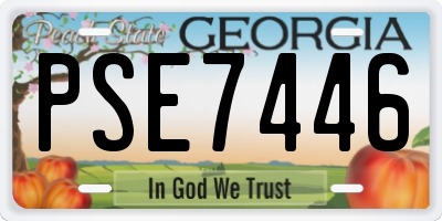 GA license plate PSE7446