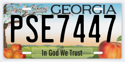 GA license plate PSE7447
