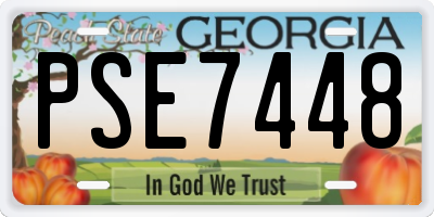 GA license plate PSE7448