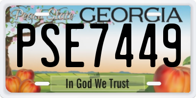 GA license plate PSE7449