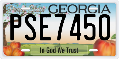 GA license plate PSE7450