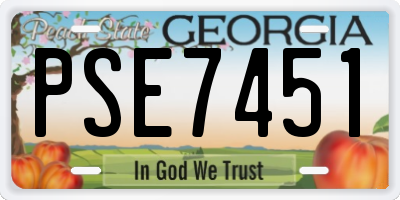 GA license plate PSE7451