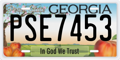 GA license plate PSE7453