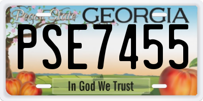 GA license plate PSE7455