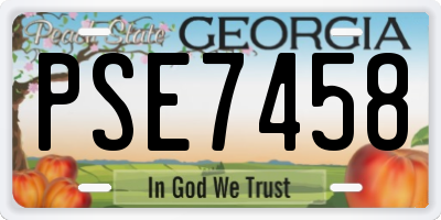 GA license plate PSE7458