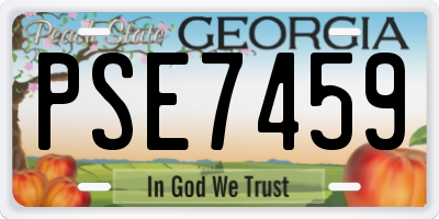 GA license plate PSE7459